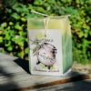 savon la masca parfum verveine et de couleur verte et neutre